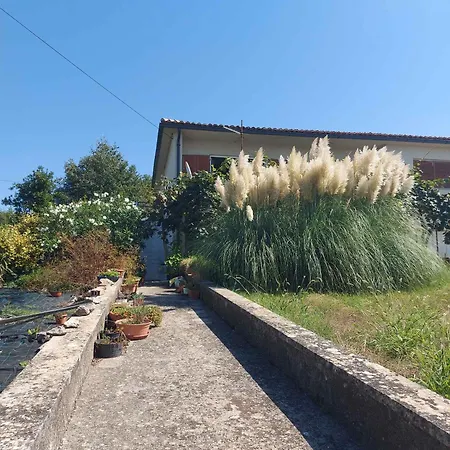 In - Insel Krk 33552 *